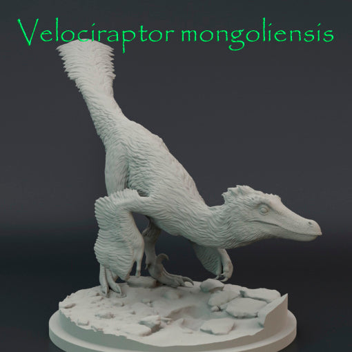 Velociraptor mongoliensis