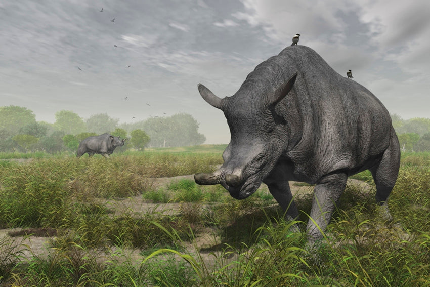 Periodo Paleógeno – Dinosauria Creatures