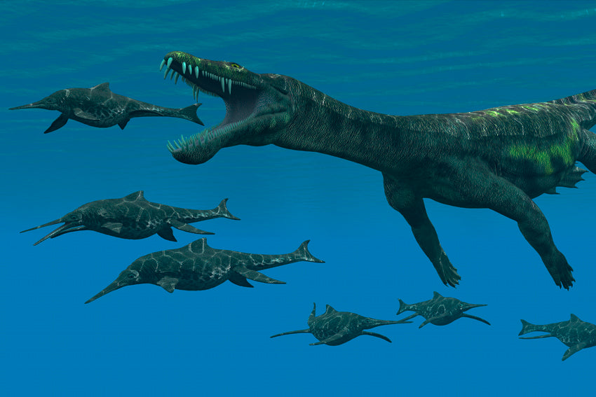 Beginning Of Triassic Period Feathers May Have Helped Dinosaurs