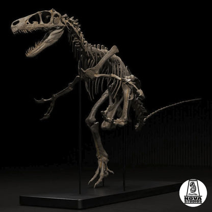 Utahraptor ostrommaysi