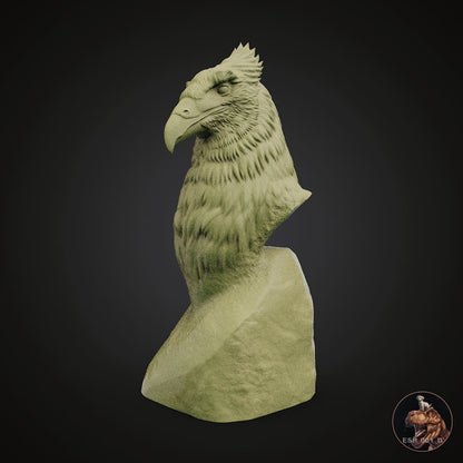 Hieraaetus moorei Bust