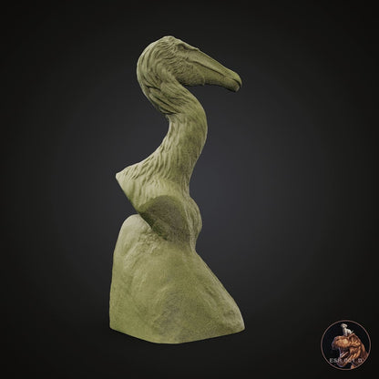 Deinocheirus mirificus