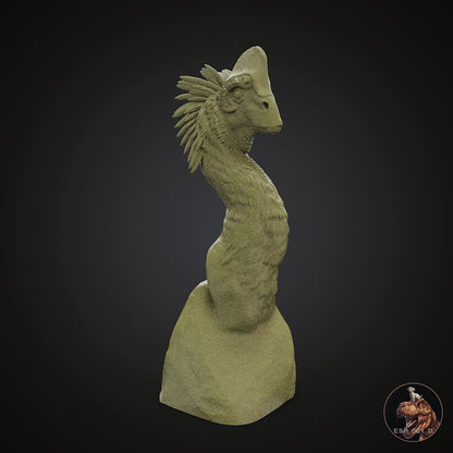 Anzu wyliei