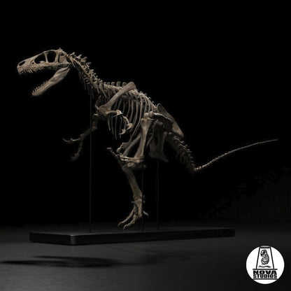 Utahraptor ostrommaysi