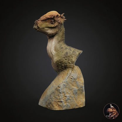 Pachycephalosaurus wyomingensis