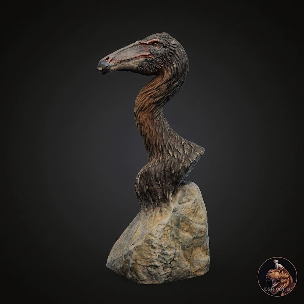Deinocheirus mirificus