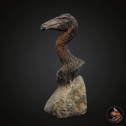 Deinocheirus mirificus