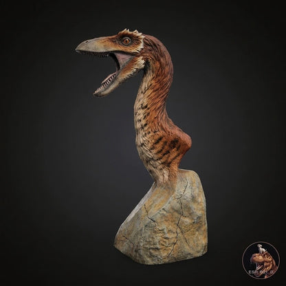 Troodon formosus