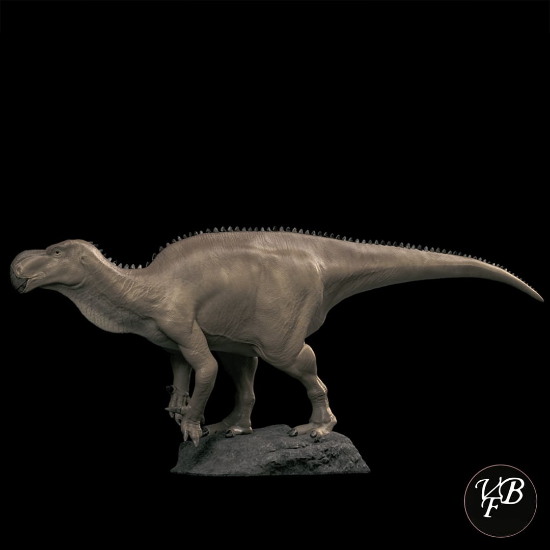 Altirhinus kurzanovi