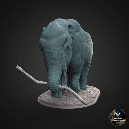 Amebelodon fricki