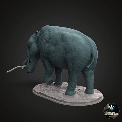 Amebelodon fricki