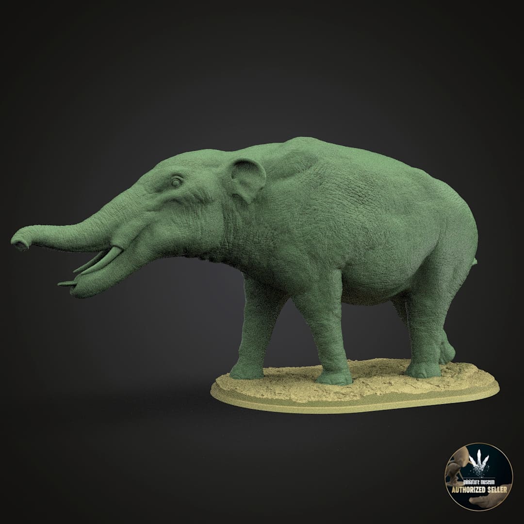 Amebelodon fricki