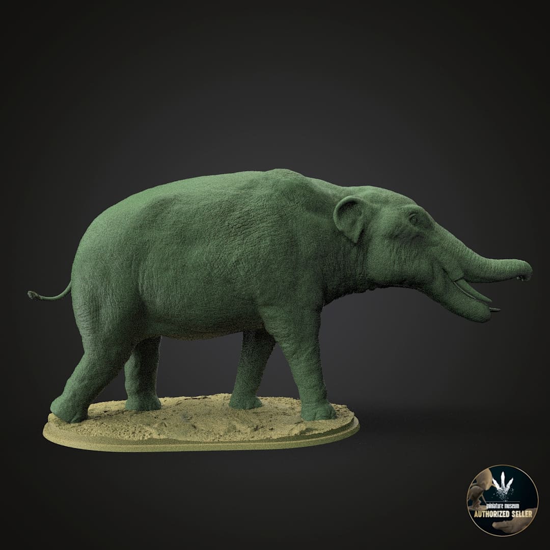 Amebelodon fricki