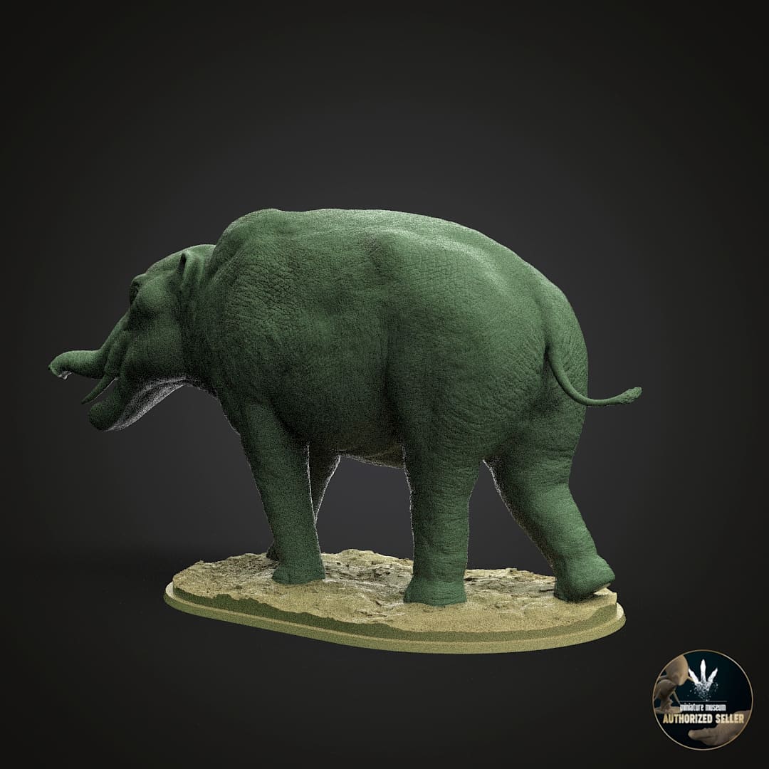 Amebelodon fricki