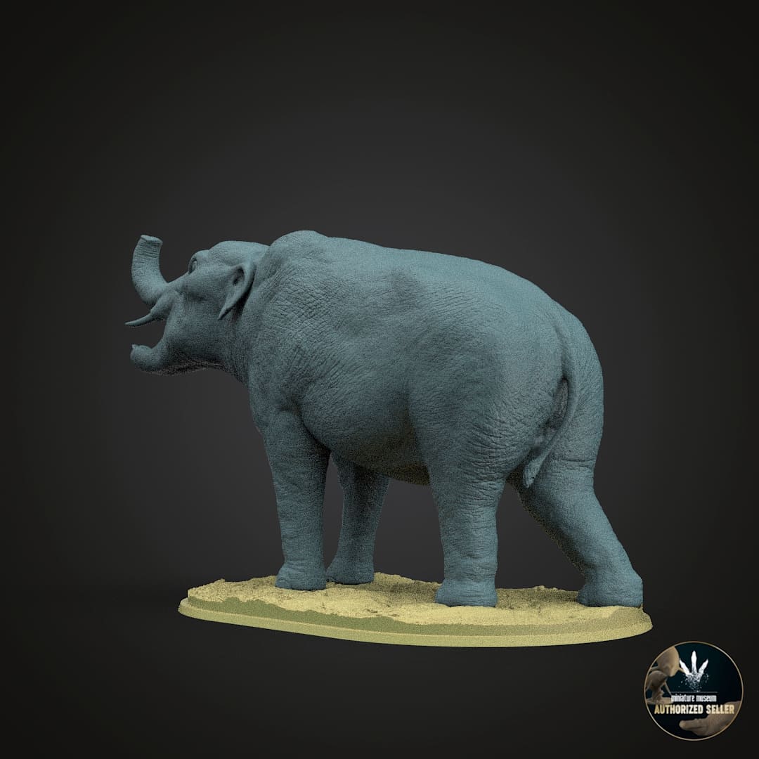 Amebelodon fricki