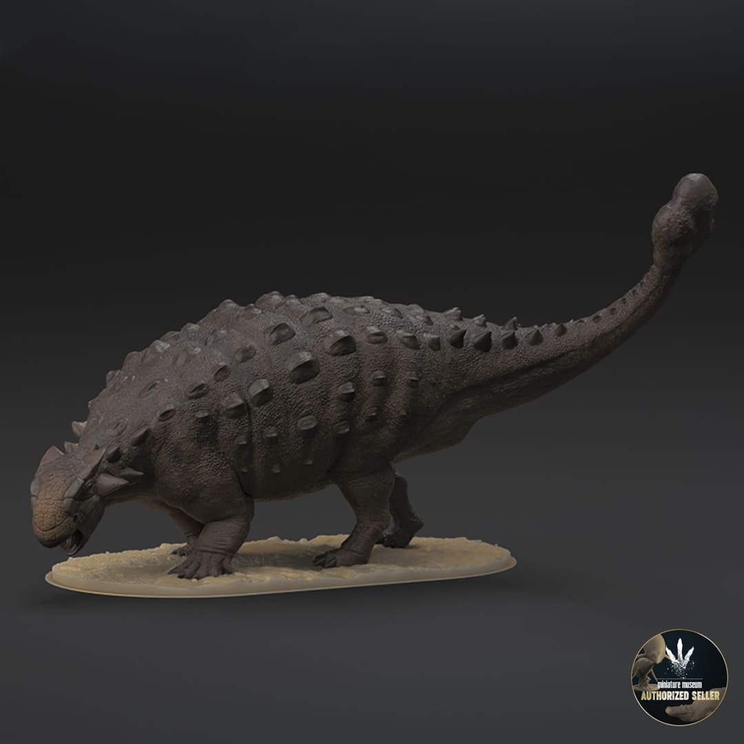 Ankylosaurus magniventris