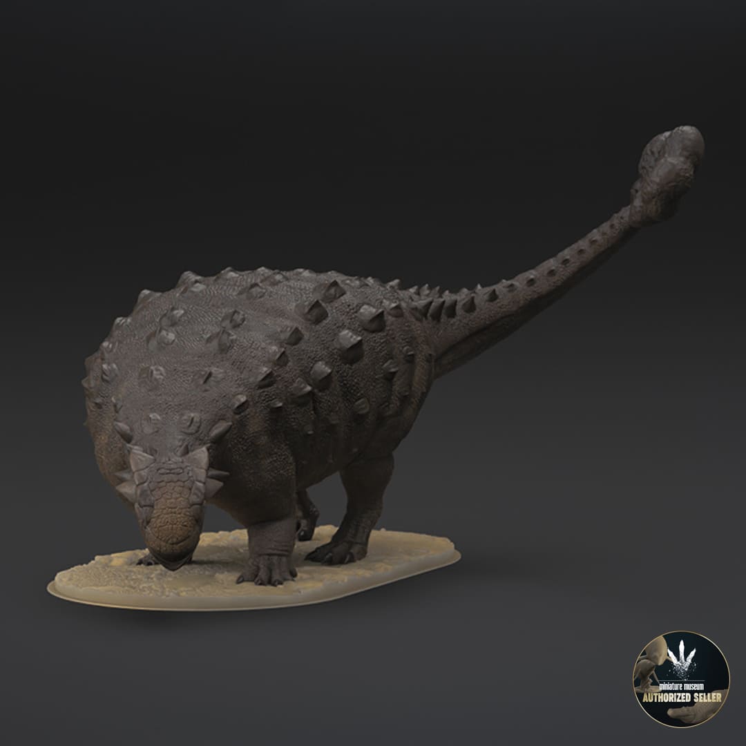 Ankylosaurus magniventris