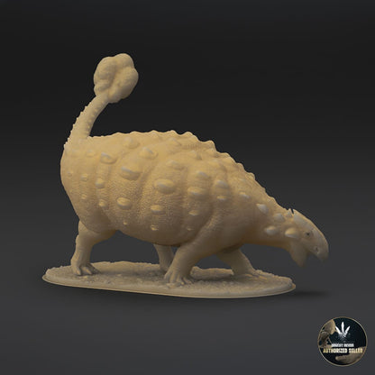 Ankylosaurus magniventris