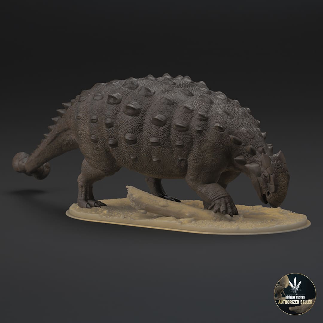 Ankylosaurus magniventris