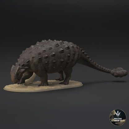 Ankylosaurus magniventris