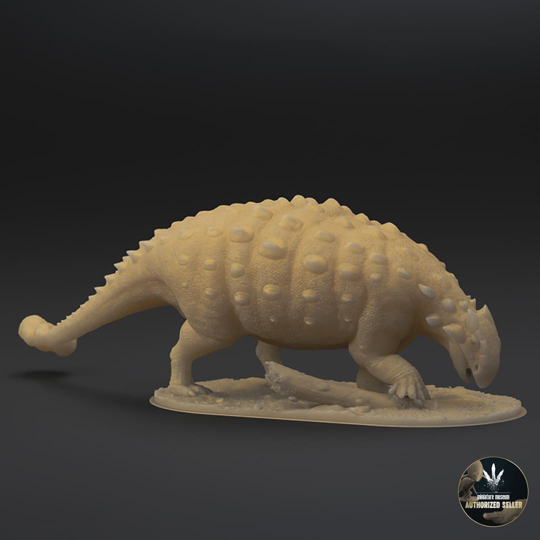 Ankylosaurus magniventris