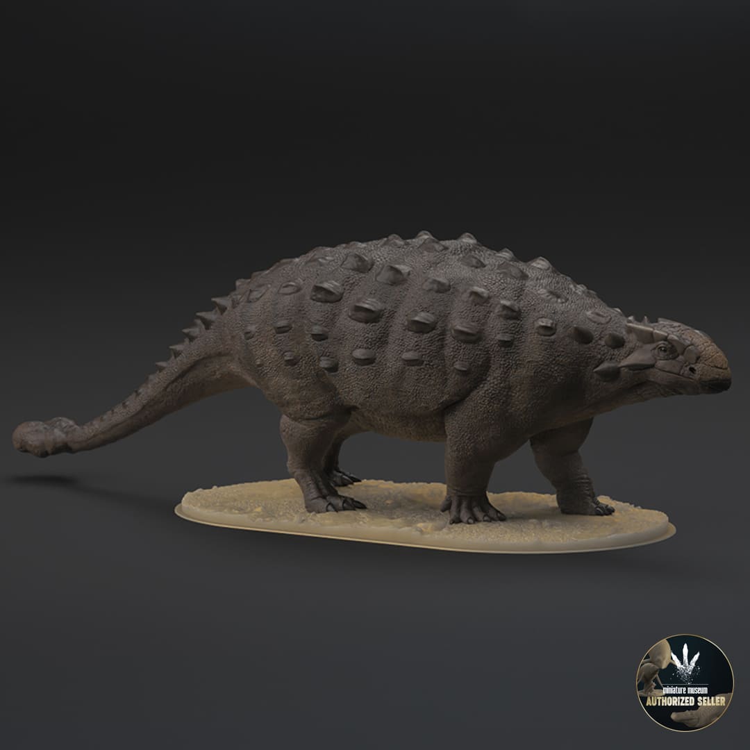 Ankylosaurus magniventris