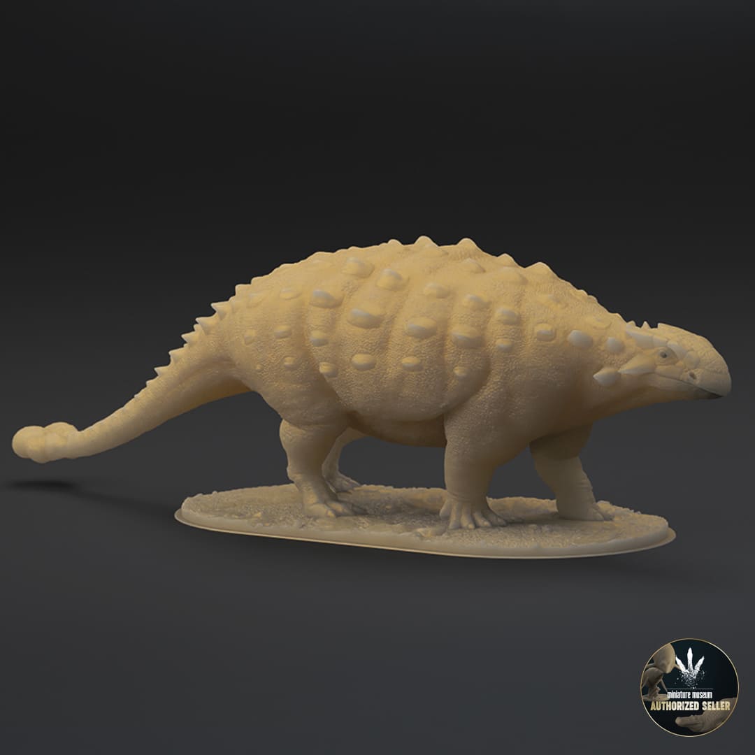 Ankylosaurus magniventris