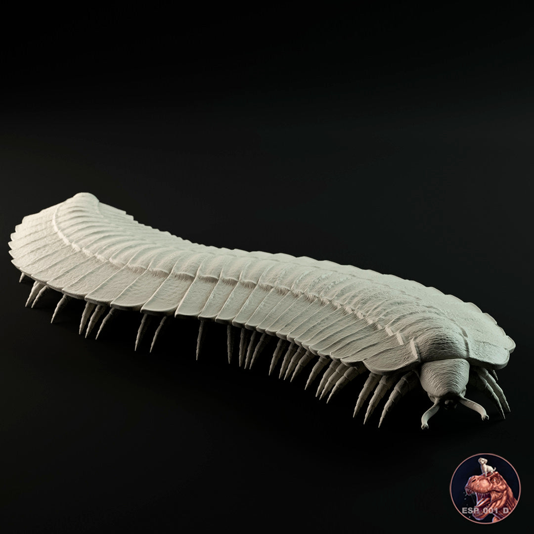 Arthropleura