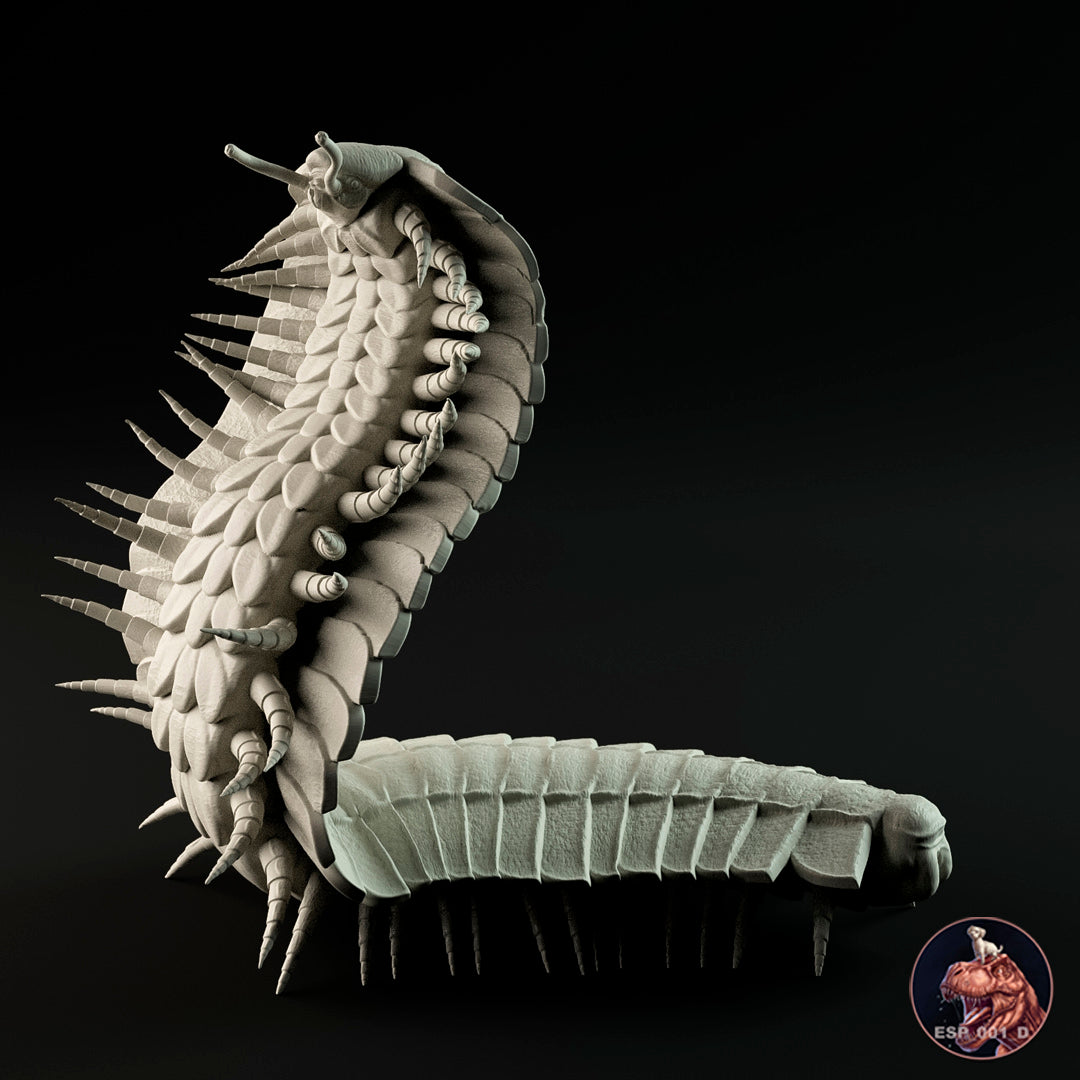 Arthropleura