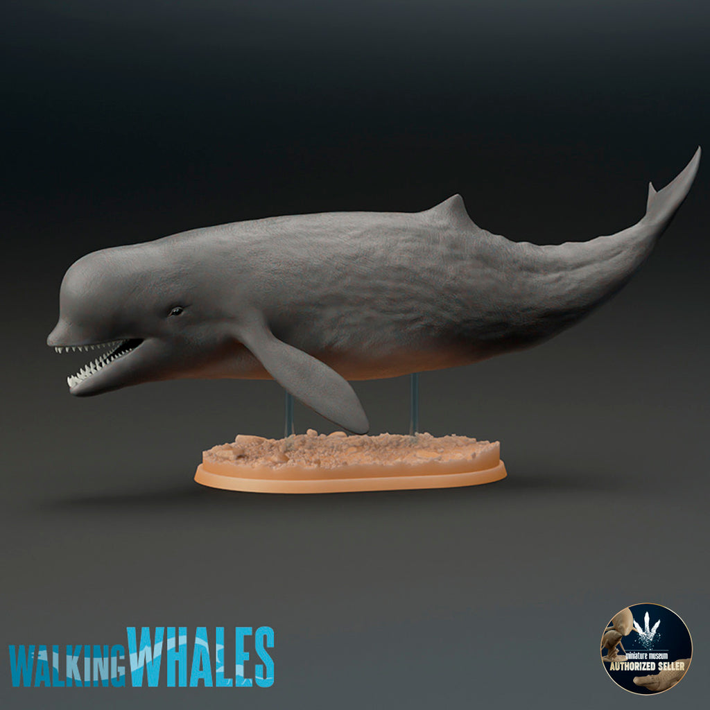 Aulophyseter morricei – Dinosauria Creatures
