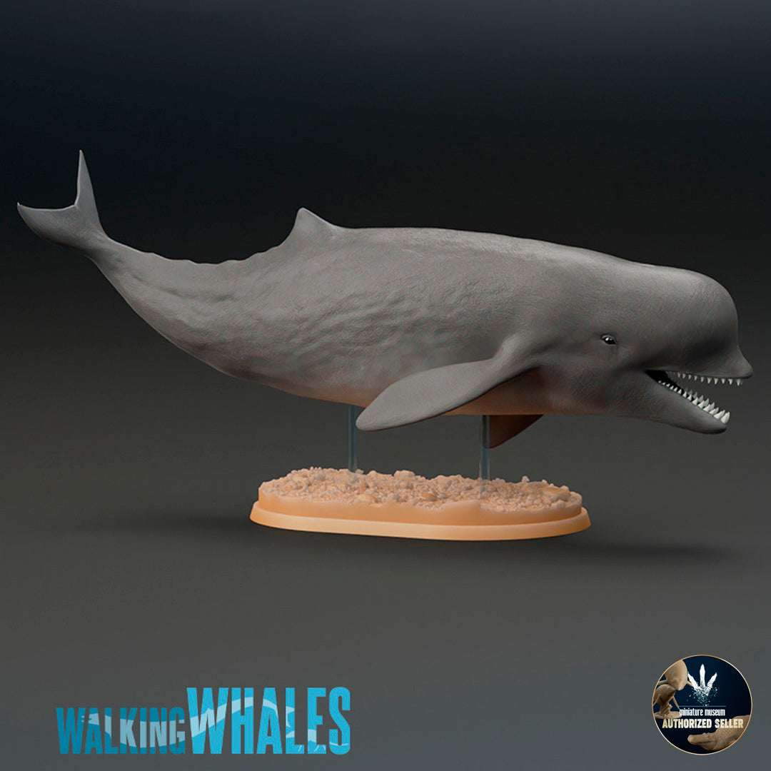 Aulophyseter morricei – Dinosauria Creatures