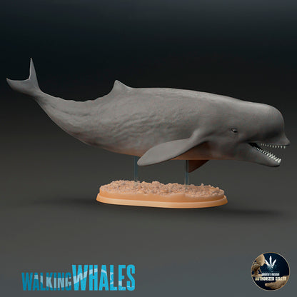 Aulophyseter morricei – Dinosauria Creatures