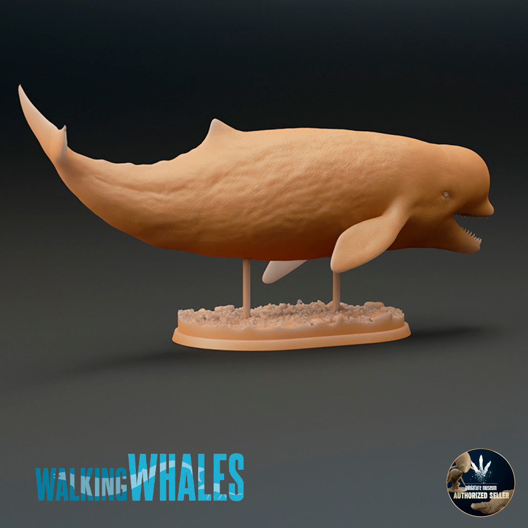Aulophyseter morricei – Dinosauria Creatures