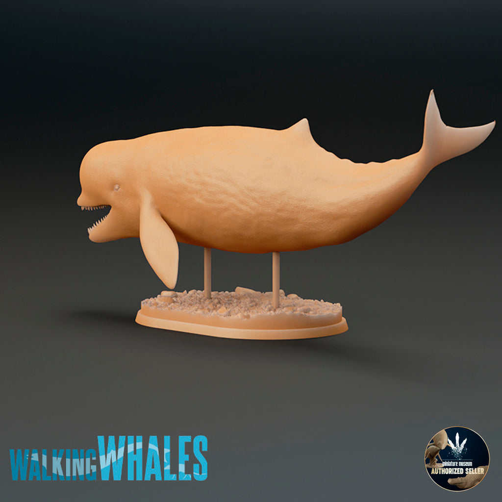 Aulophyseter morricei – Dinosauria Creatures