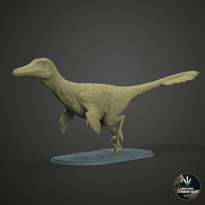 Austroraptor Cabazai