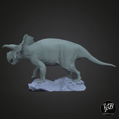 Avaceratops lammersi