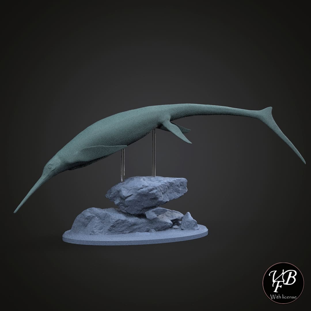 Besanosaurus leptorhynchus