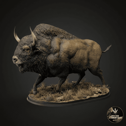 Bison priscus