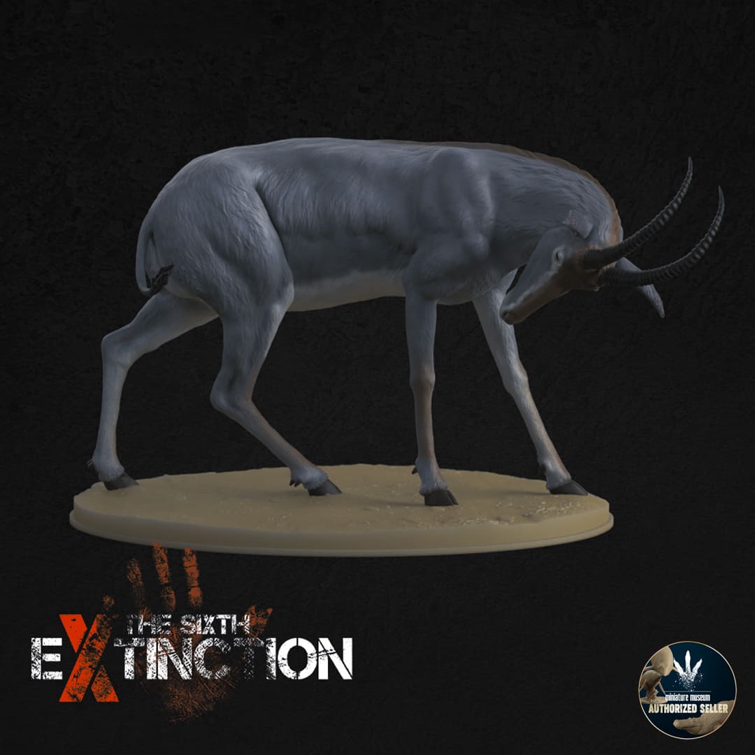 Hippotragus leucophaeus dinosauriacreatures