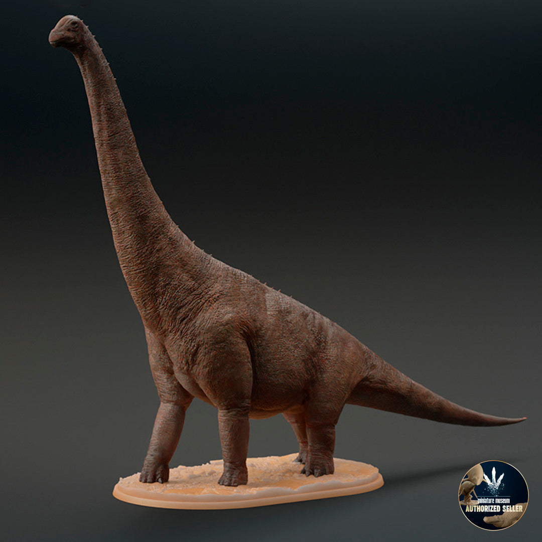 Brachiosaurus altithorax