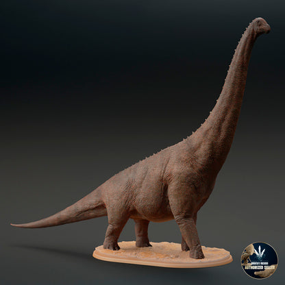 Brachiosaurus altithorax