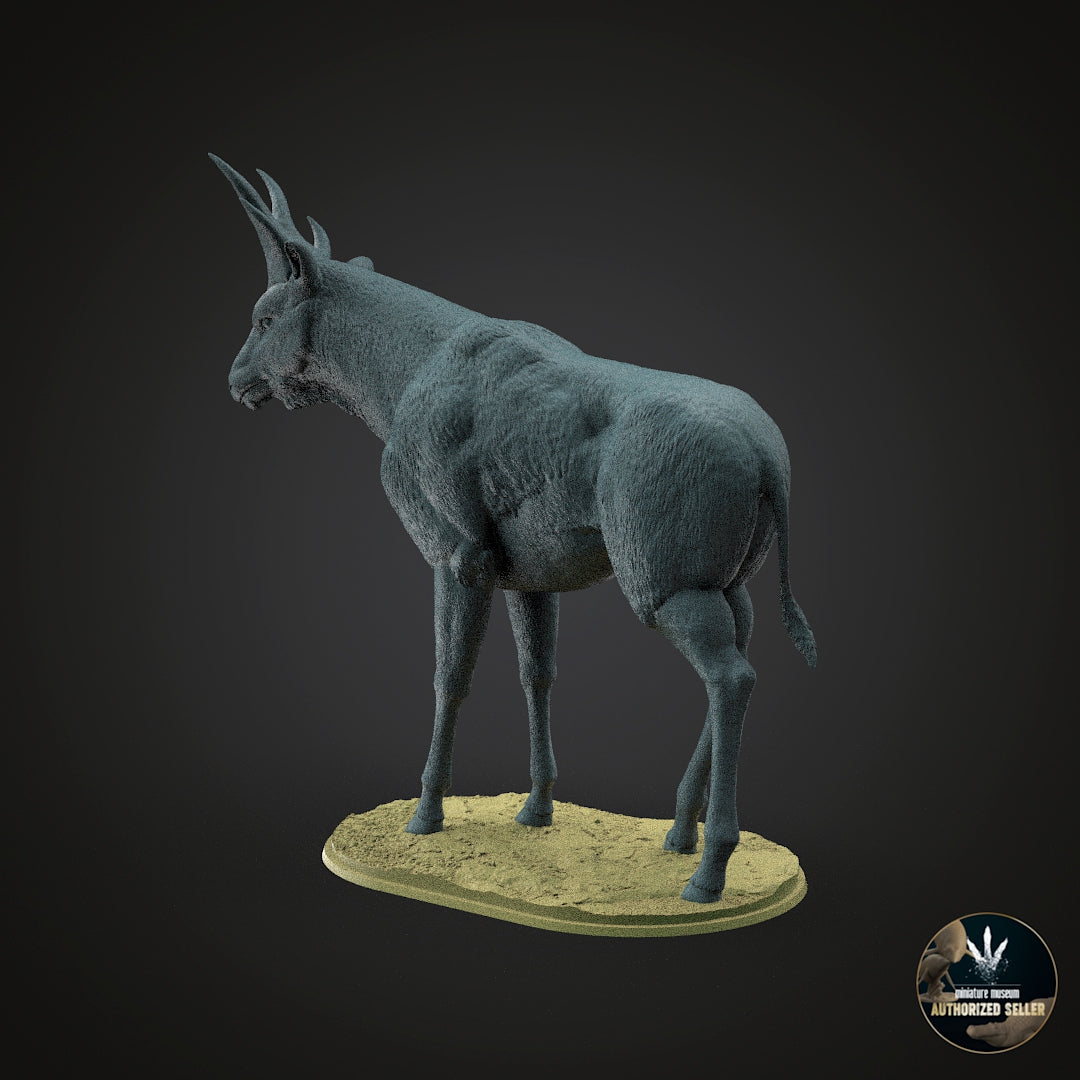 Bramatherium perimense