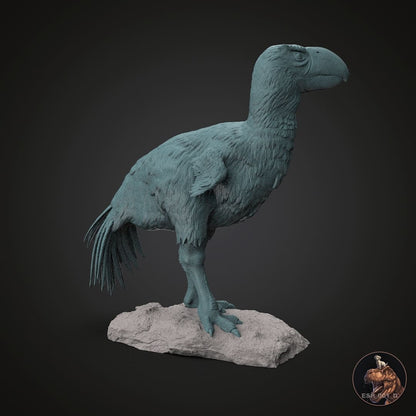 Brontsis Brontornis burmeisteri – Dinosauria Creatures