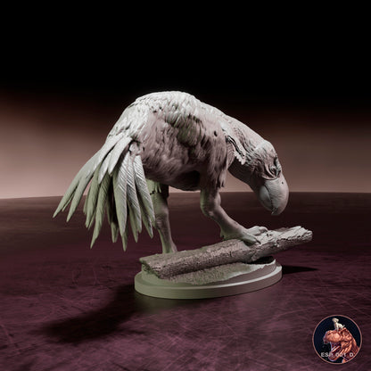 Brontsis Brontornis burmeisteri – Dinosauria Creatures