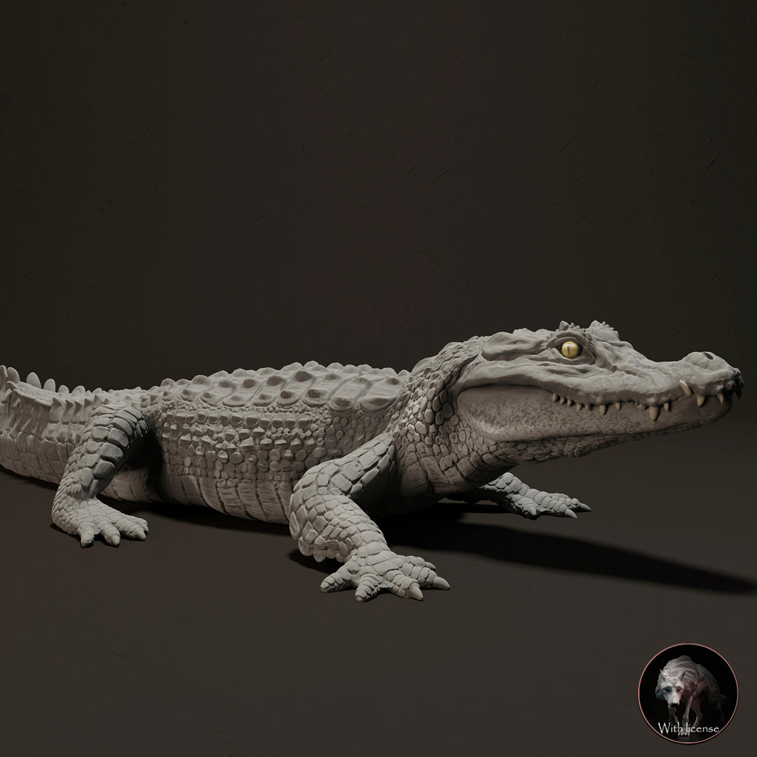 Black Caiman