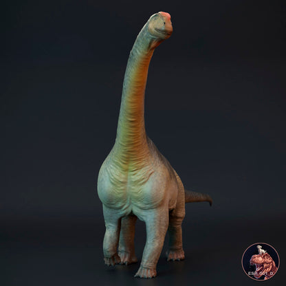 Camarasaurus