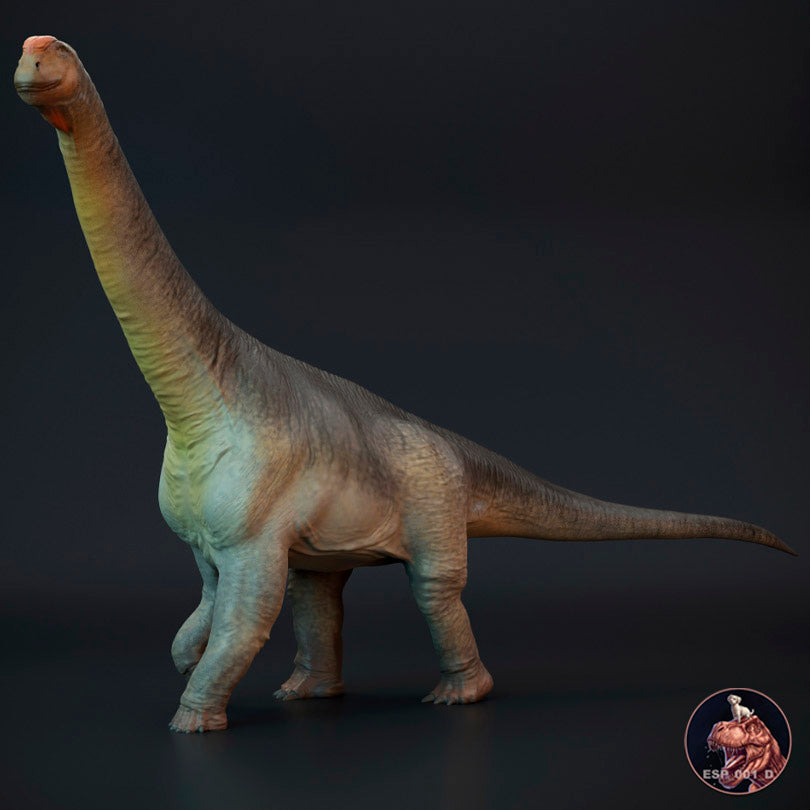 Camarasaurus