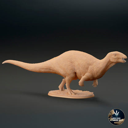 Camptosaurus dispar