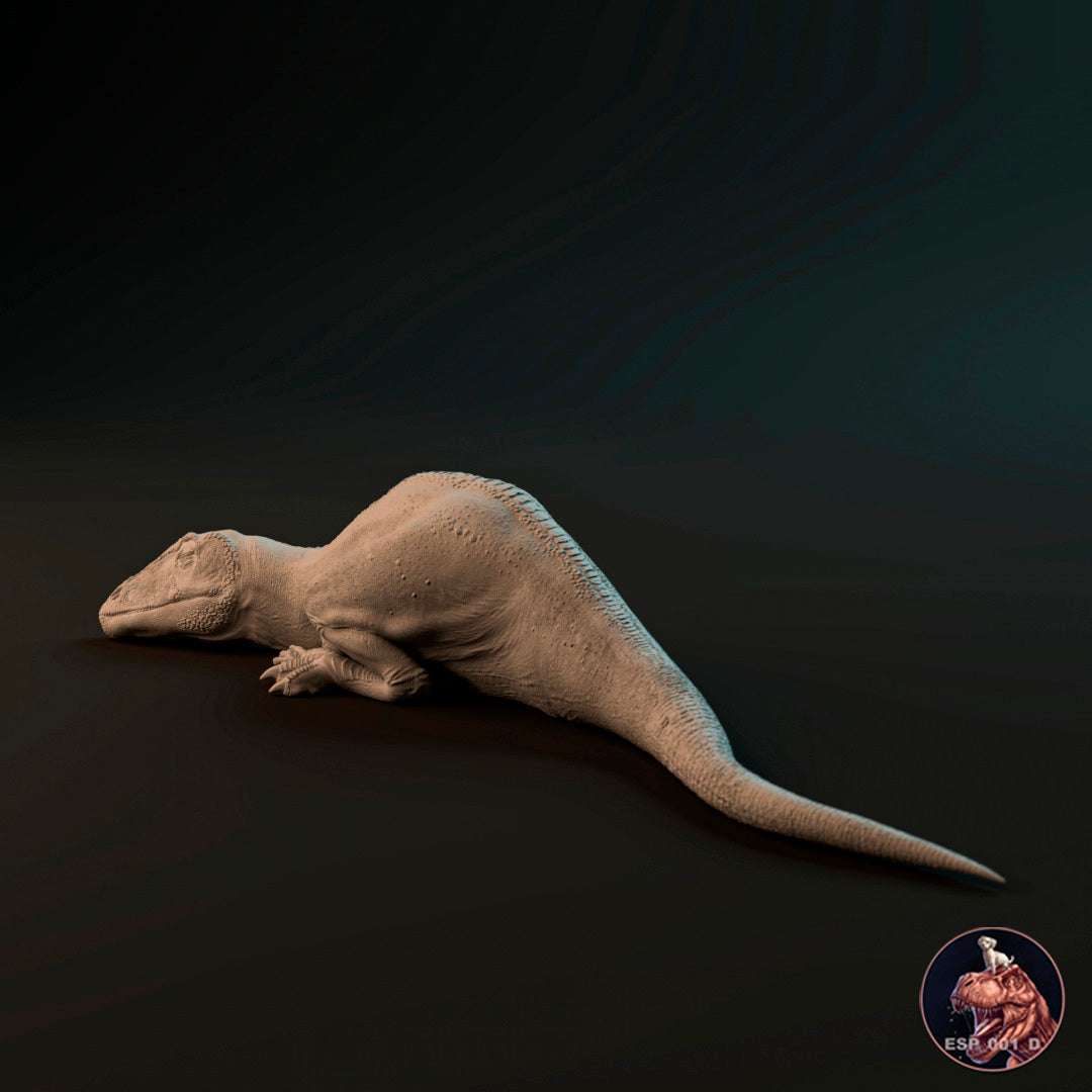 Carcharodontosaurus Baby 3 Posen