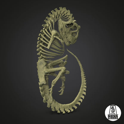 Carnotaurus fetus